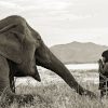 Best Friends III photo by Réhahn - elephant in Vietnam