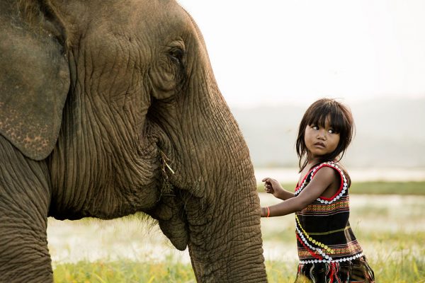 Best Friends V photo by Réhahn - elephant in Vietnam