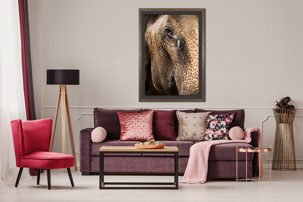 Eye Of The Elephant print shown in an interior setting
