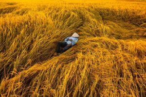 resting-gold