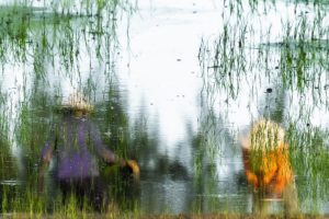 Impressionist photography