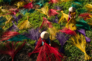 Dyed reeds drying in bright rows for mat-making in Hoi An