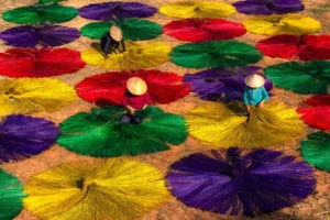 Three women among colourful circular drying reeds in Phu Yen
