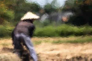 Farmer crossing burned field through green and violet heat distortion