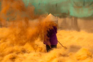 Woman working among coconut fibres rising through warm golden dust